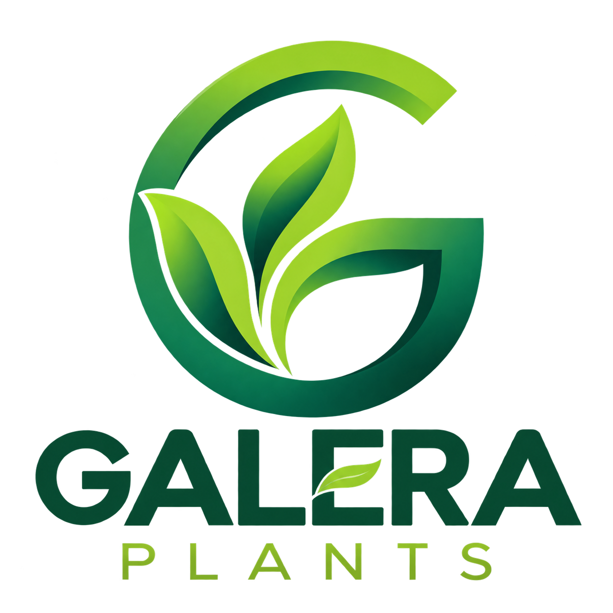 Galera Plants logo